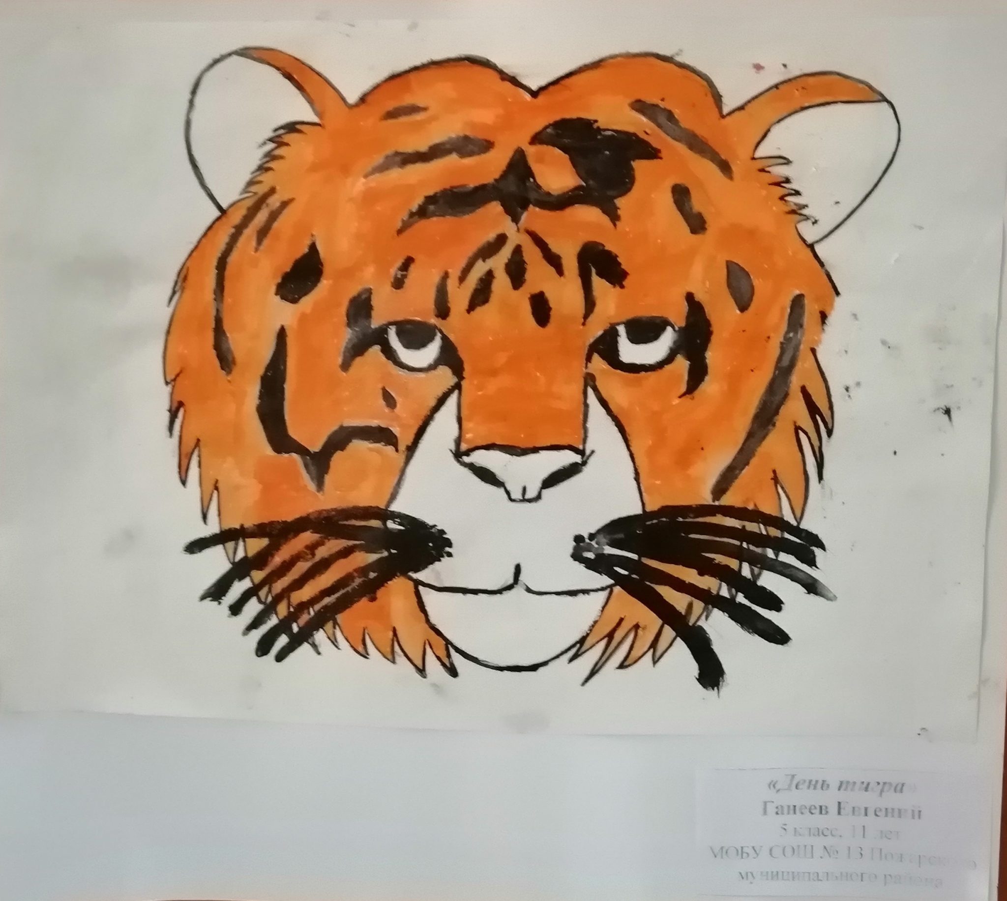 Берегите тигров рисунки лёгкие